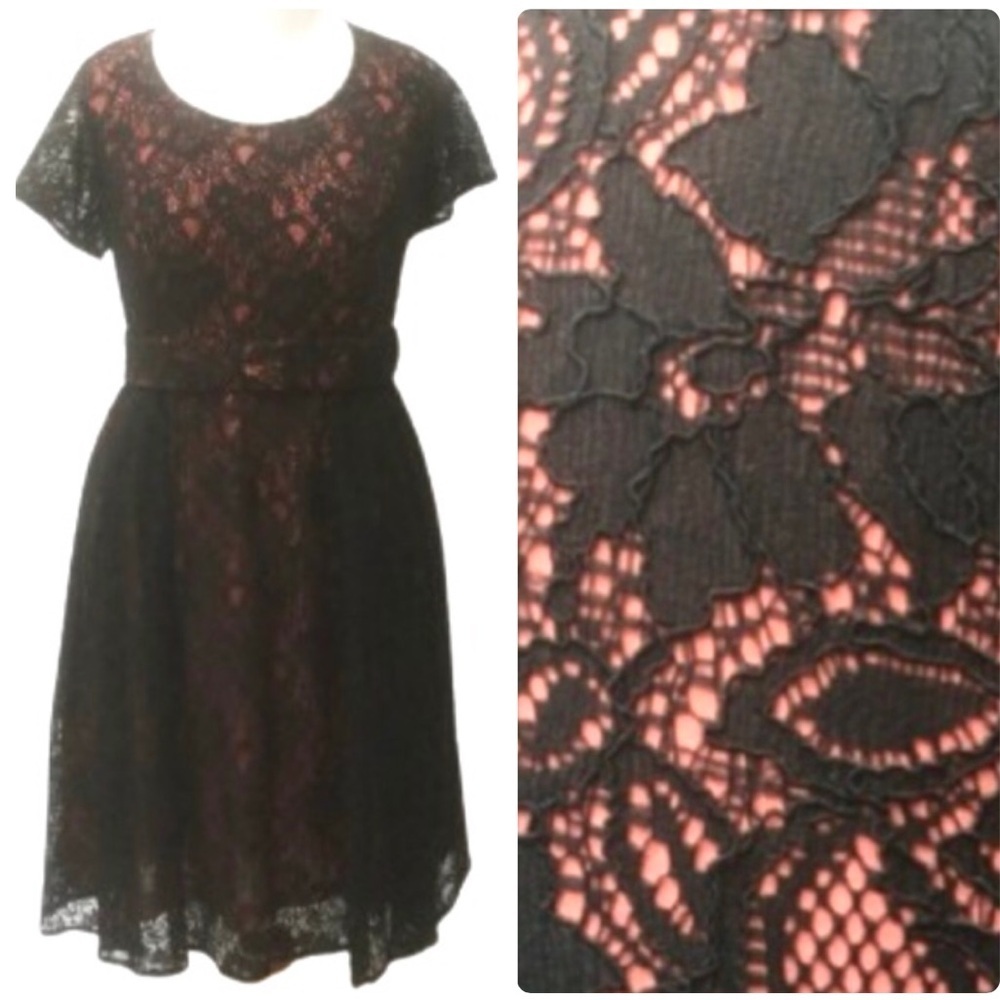 NWOT Eshakti lace fit & flare dress XL 18